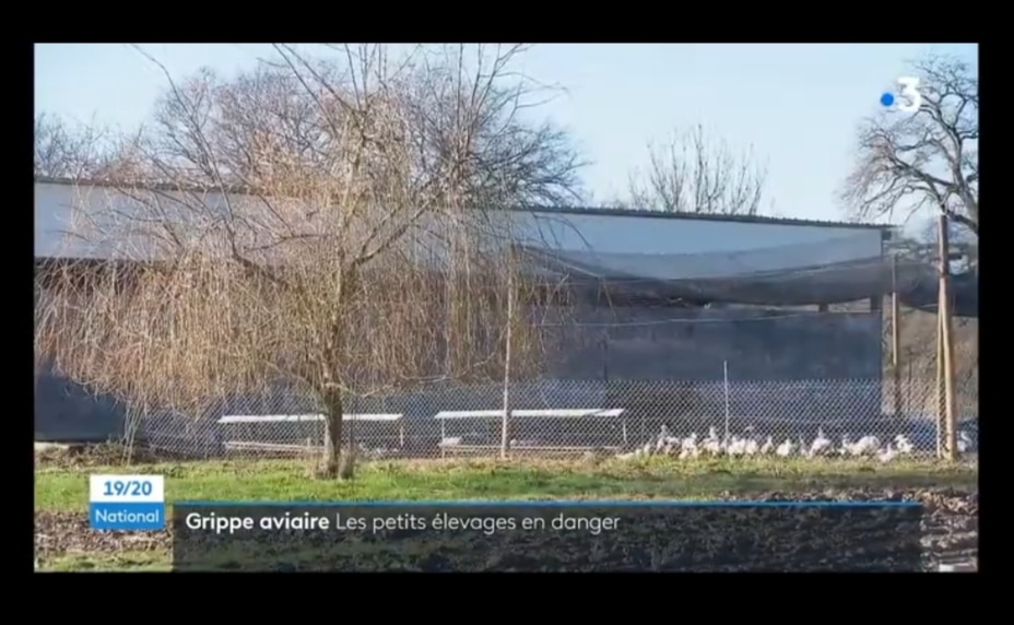 Reportage grippe aviaire France 3 du 16 janvier 2022